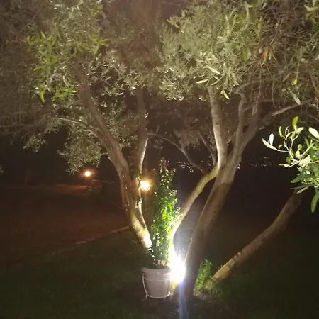 Holiday home Aetofolia Stella Fourka