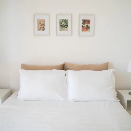 Aetofolia Stella * Fourka