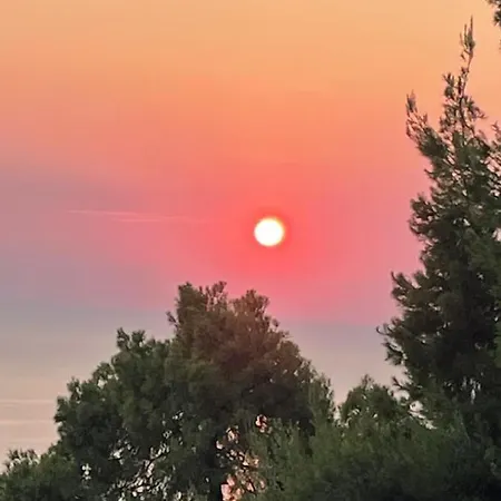 Aetofolia Stella * Fourka