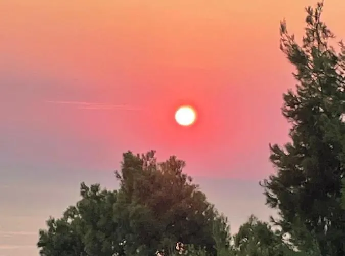 Aetofolia Stella * Fourka